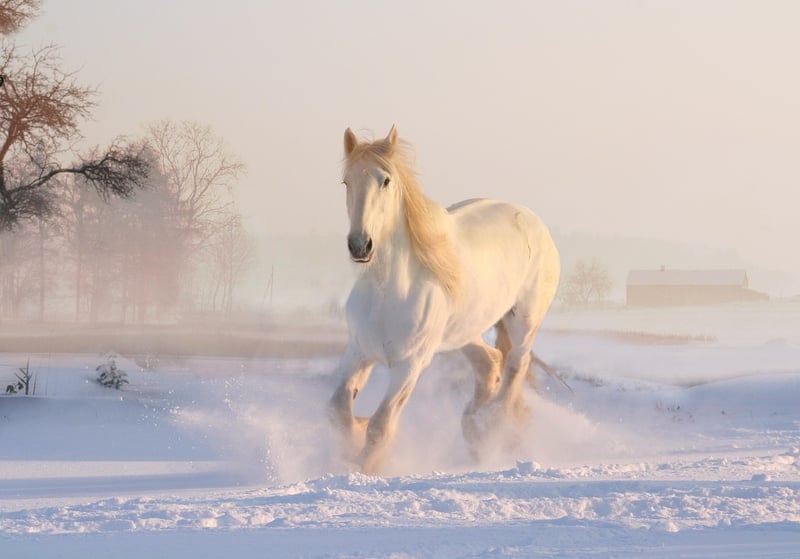 Dreamlike Ambiance