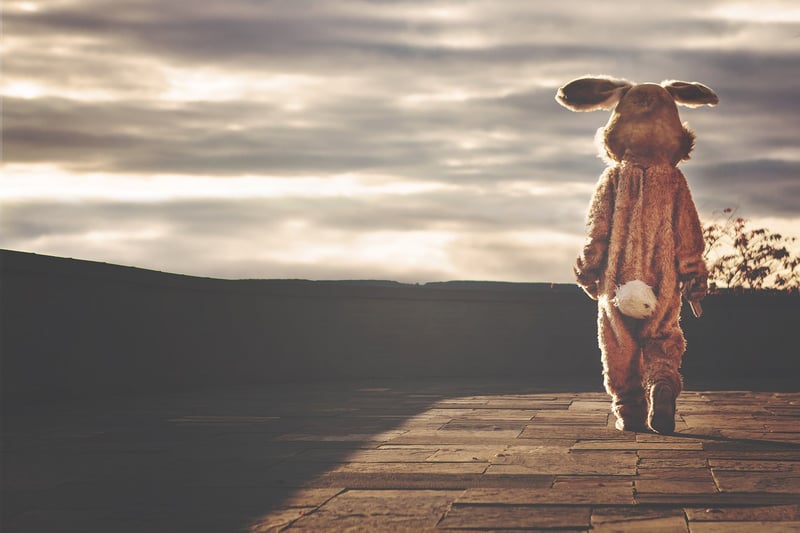 Whimsical Tunes
